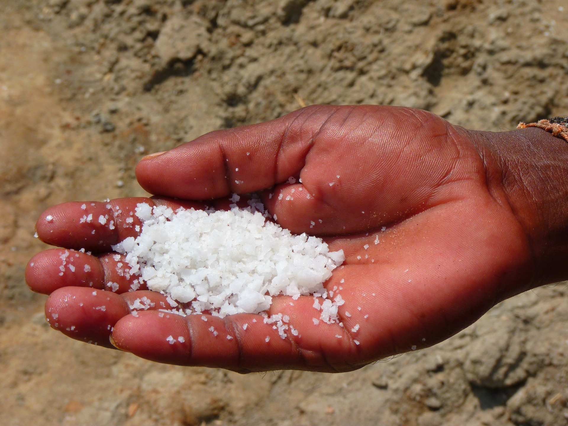 You are the salt of the earth