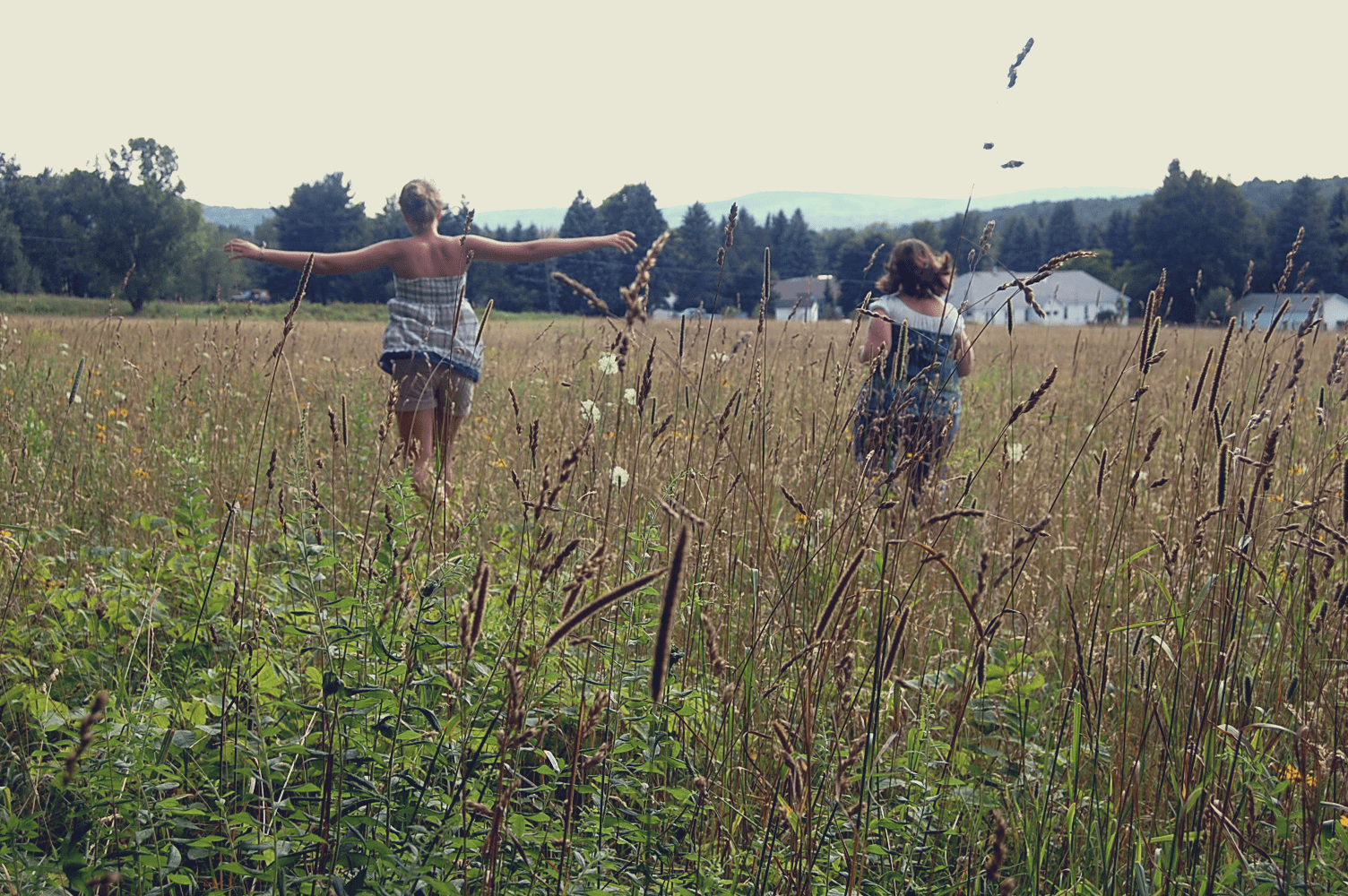 The parable of the landowner’s wise restraint