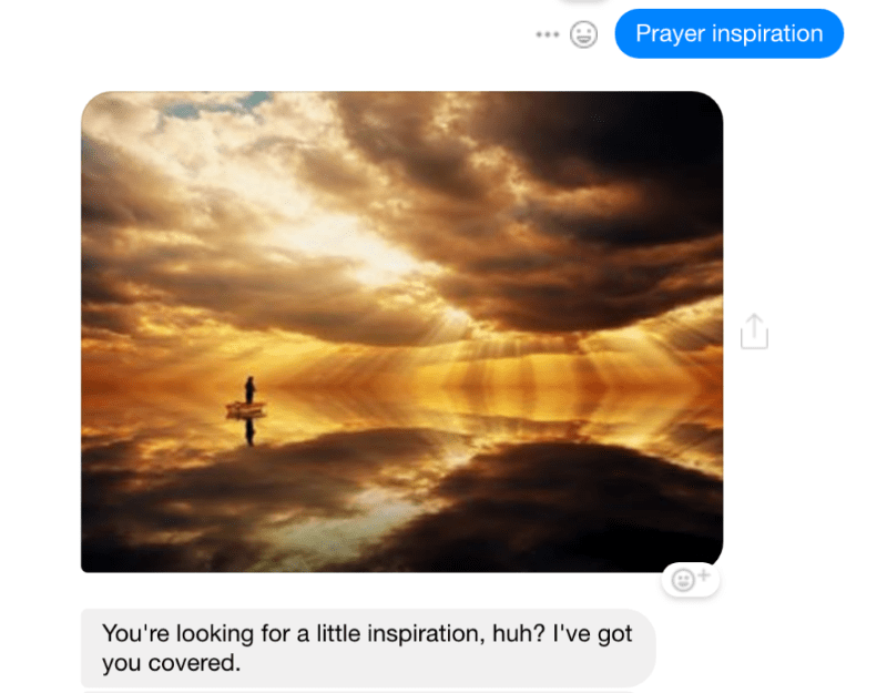 A screen capture from a chatbot convo