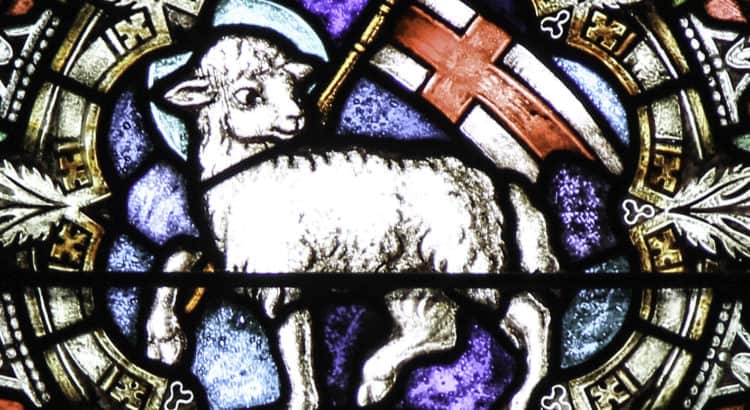 Lamb of God